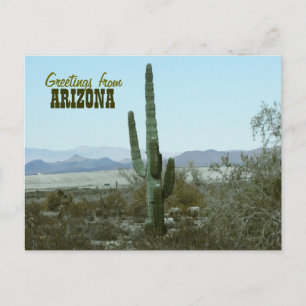 Hälsningar från den Arizona kaktusen reser vykorte Vykort