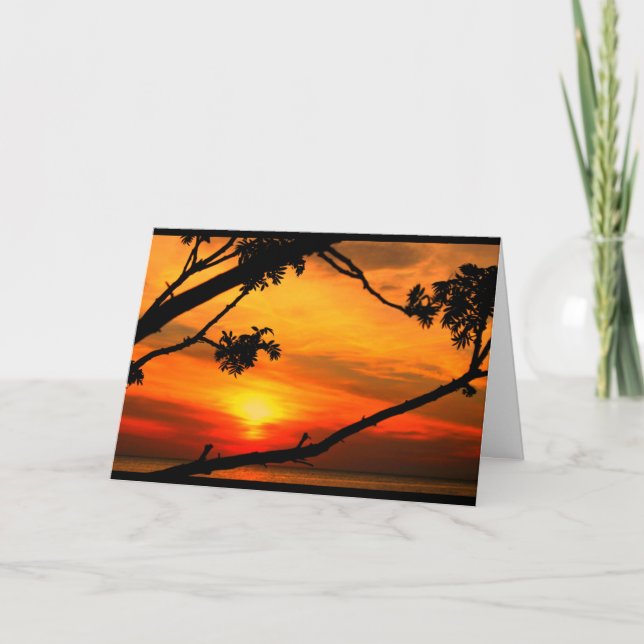 Hälsningar från den härliga sjön Winnie i Quinney! Kort (Framsida)