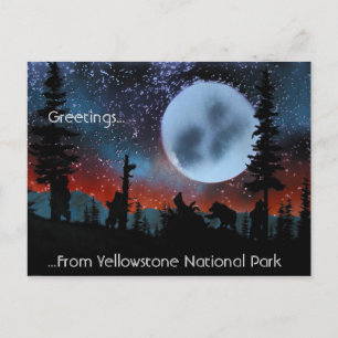 Hälsningar ...... från den Yellowstone Vykort