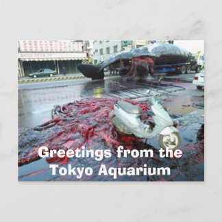 Hälsningar från det Tokyo akvariet Vykort
