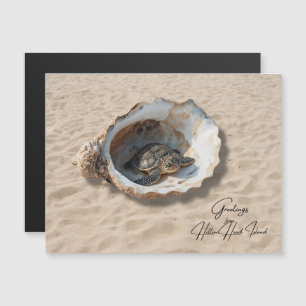 Hälsningar från Hilton Head Island Sea Turtle Card