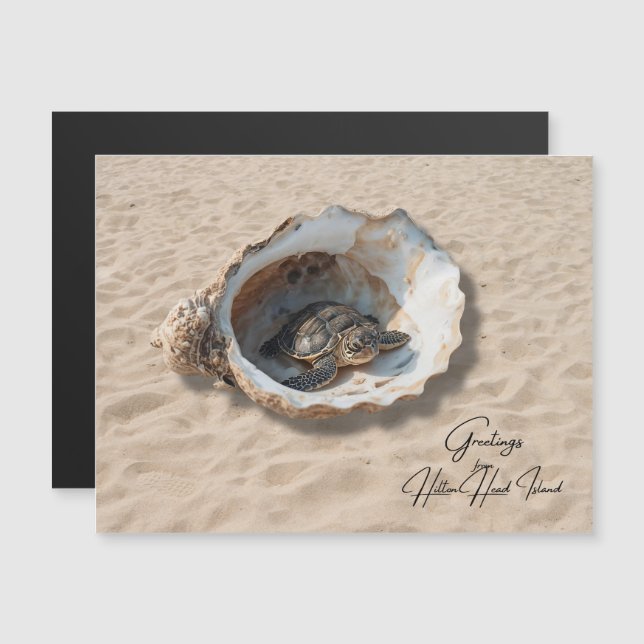 Hälsningar från Hilton Head Island Sea Turtle Card (Fram/baksida)