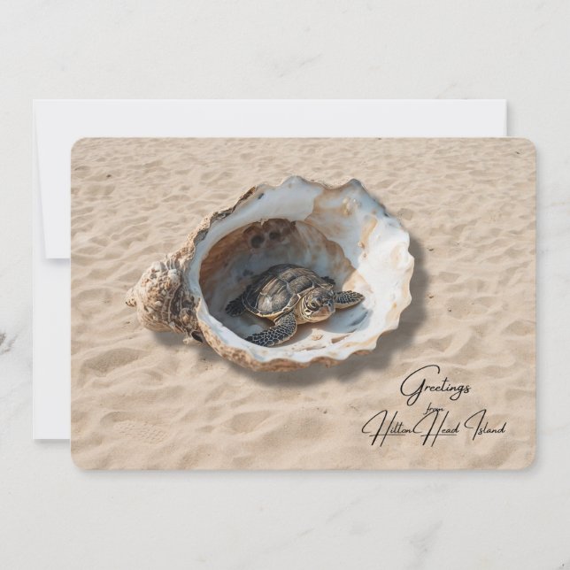 Hälsningar från Hilton Head Island Sea Turtle Card Julkort (Framsida)