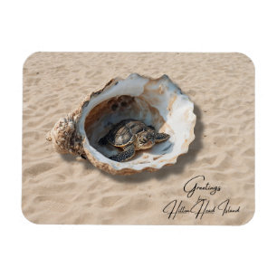 Hälsningar från Hilton Head Island Sea Turtle Magnet