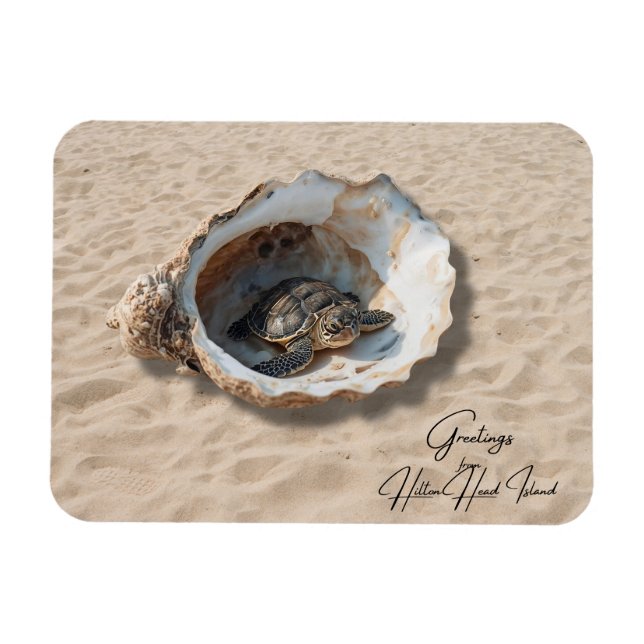 Hälsningar från Hilton Head Island Sea Turtle Magnet (Horisontell)