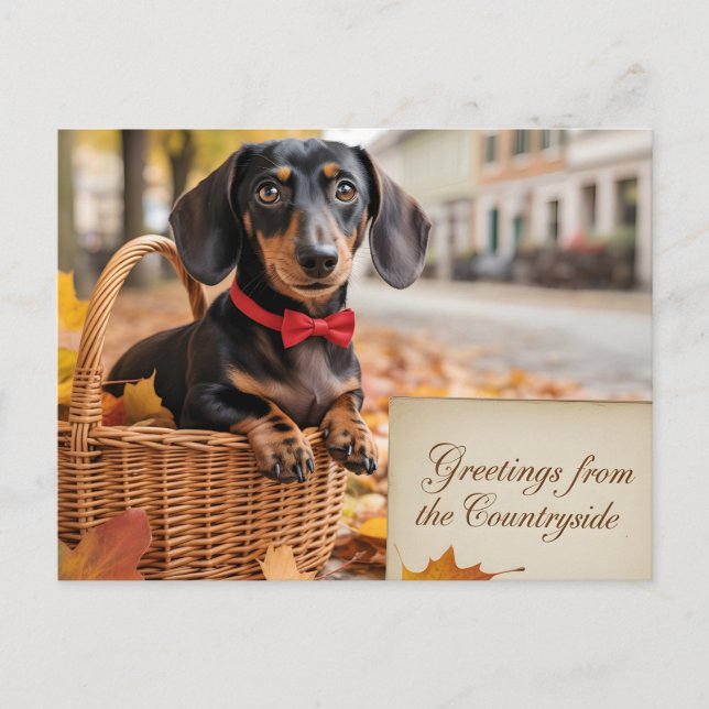 "Hälsningar från landsbygden" Dachshund  Vykort (Framsida)