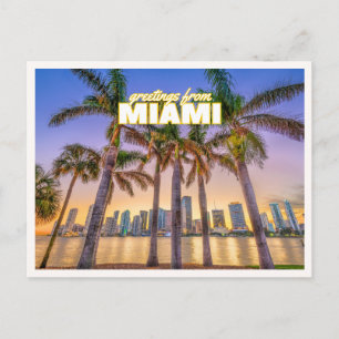 Hälsningar från Miami Florida Retro Palmträd Foto Vykort