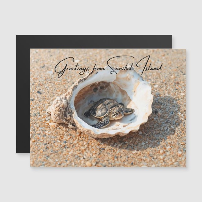 Hälsningar från Sanibel Island Sea Turtle in Shell (Fram/baksida)