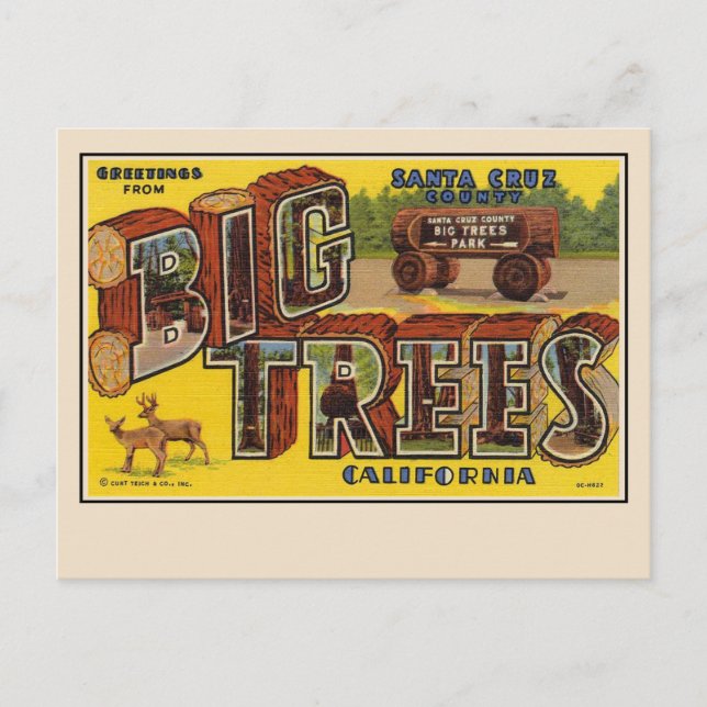 Hälsningar från Santa Cruz Large Letter Vykort (Framsida)