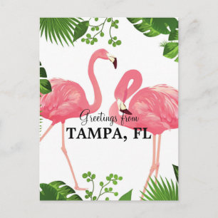 Hälsningar från Tampa, FL Vykort