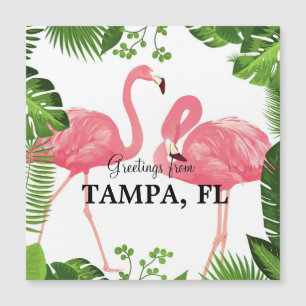 Hälsningar från Tampa, Florida
