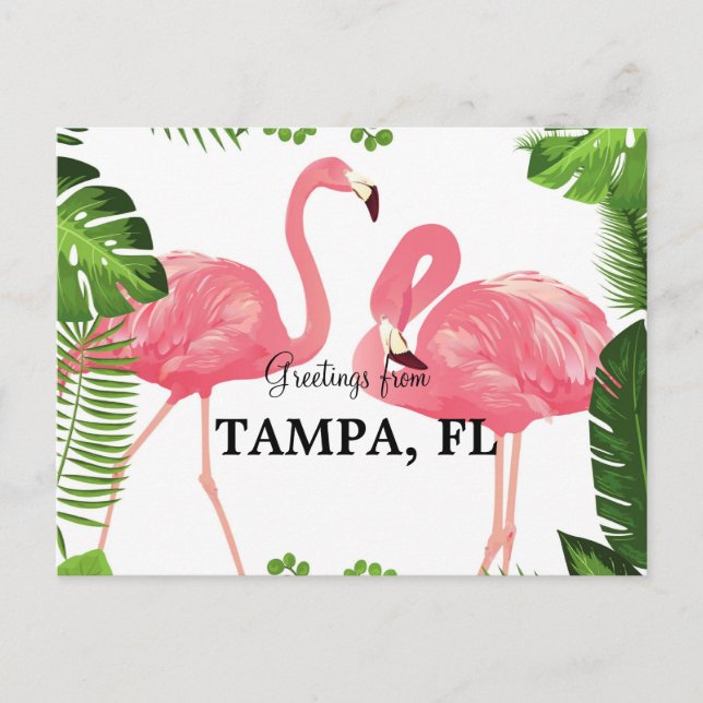 Hälsningar från Tampa, Florida Vykort (Framsida)