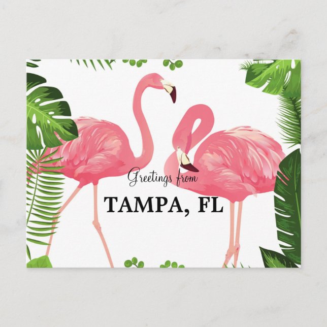 Hälsningar från Tampa, Florida Vykort (Framsida)