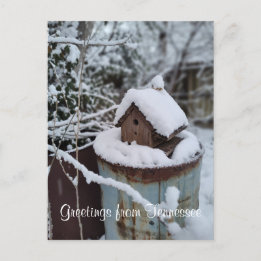 HÄLSNINGAR FRÅN TENNESSEE vinter fågelhus foto | Vykort