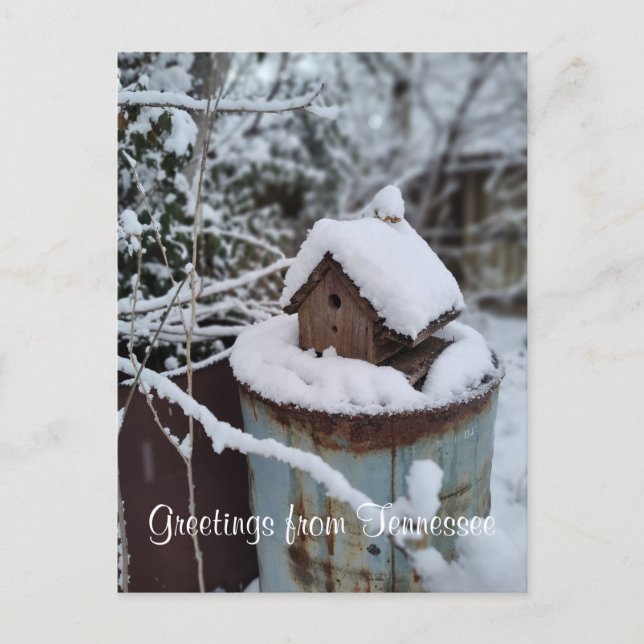 HÄLSNINGAR FRÅN TENNESSEE vinter fågelhus foto | Vykort (Framsida)
