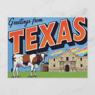 Hälsningar från Texas Alamo Longhorn Ko Vykort