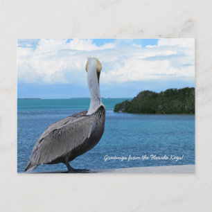 Hälsningar från vykortet Florida Keys Vykort