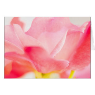 Hälsningen för rosa roskonstblomman noterar kortet hälsningskort