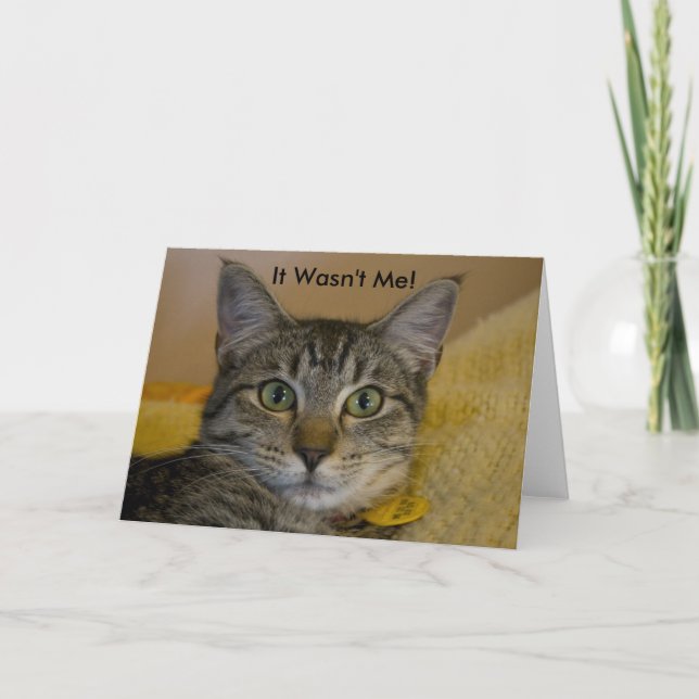 Hälsningkort:  Det var inte mig katten Kort (Framsida)