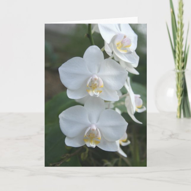 Hälsningkort för tre lite Maids Kort (Framsida)