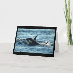 Hälsningkort för två Orcas Kort