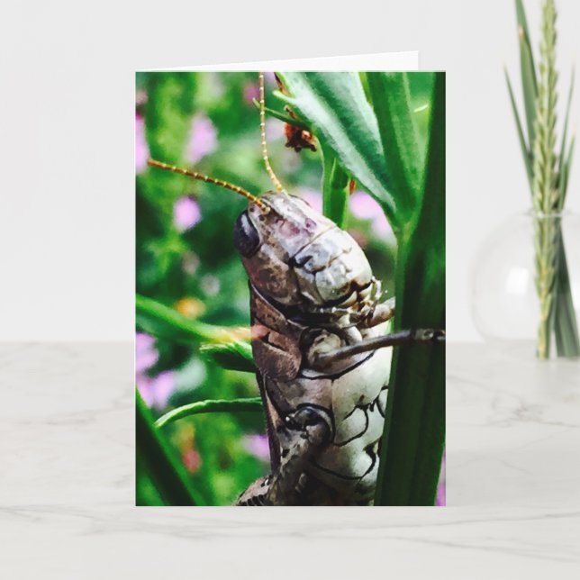 Hälsningkort från den Lil monstersamlingen Kort (Framsida)