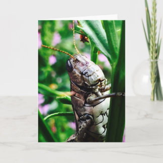 Hälsningkort från den Lil monstersamlingen Kort