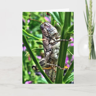 Hälsningkort från den Lil monstersamlingen Kort