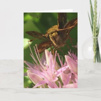 Hälsningkort från naturerotisk litteratursamlingen kort