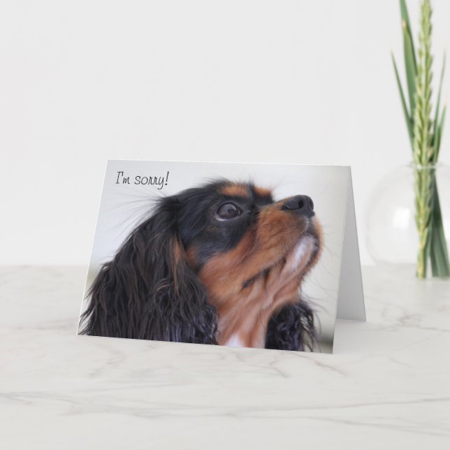 Hälsningkort - ledsen I-förmiddag Kort (Framsida)