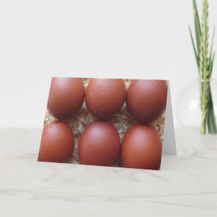 Hälsningkort - Marans fega ägg Kort