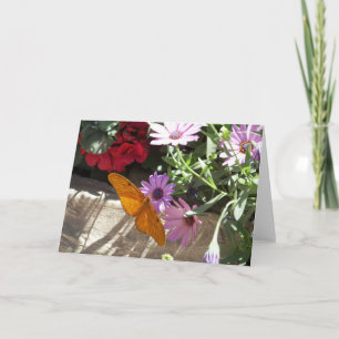 hälsningkort med den orange fjärilen och blommor kort