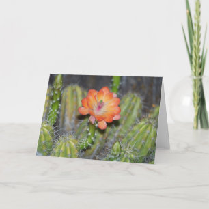 Hälsningkort med den orange kaktusblomman kort
