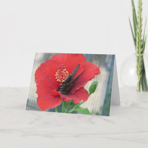 hälsningkort med fjärilen på röd blomma kort