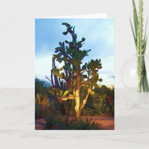 hälsningkort med kaktusträd för prickly pear kort