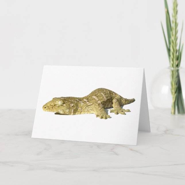 Hälsningkort - ny Caledonian jätte- Gecko Kort (Framsida)
