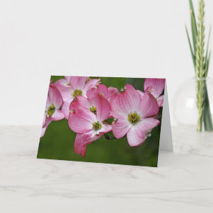Hälsningkort: Rosa Dogwood Kort