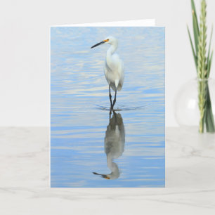Hälsningkort - roterande snöig egret kort