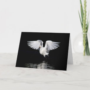 Hälsningkort - snöig egret kort