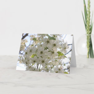 Hälsningkort - tillfällen - blomBradford Pear Kort