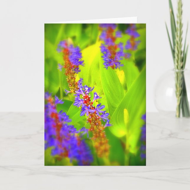 Hälsningkort - tom insida kort (Framsida)