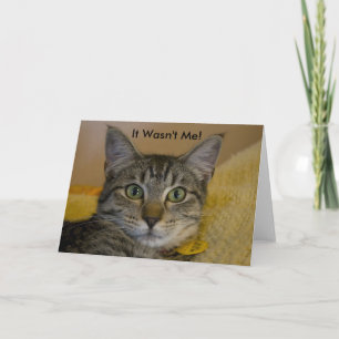 Hälsningskort: Det var inte jag Katt 2 Kort