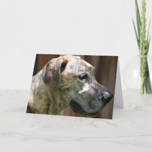 hälsningskort för Great dane-profil Kort