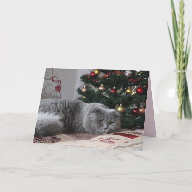 hälsningskort för helgdag kattunge kort (Framsida)