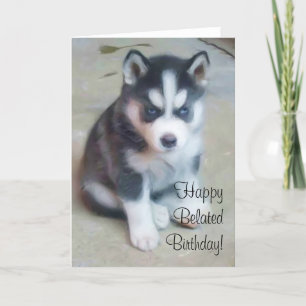 hälsningskort för lycklig Belet Birthday Husky Kort