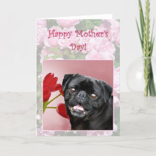 hälsningskort för Lycklig Black Pug Kort