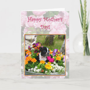 hälsningskort för Lycklig Mors dag Boston Terrier Kort