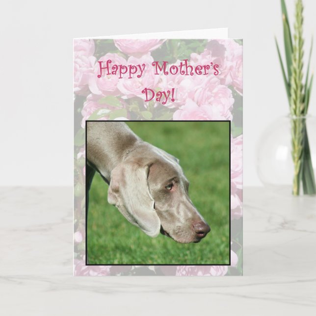 hälsningskort för lycklig Mors dag Weimaraner Kort (Framsida)