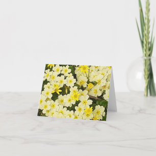 hälsningskort för Primroses-hälsning i vår Kort