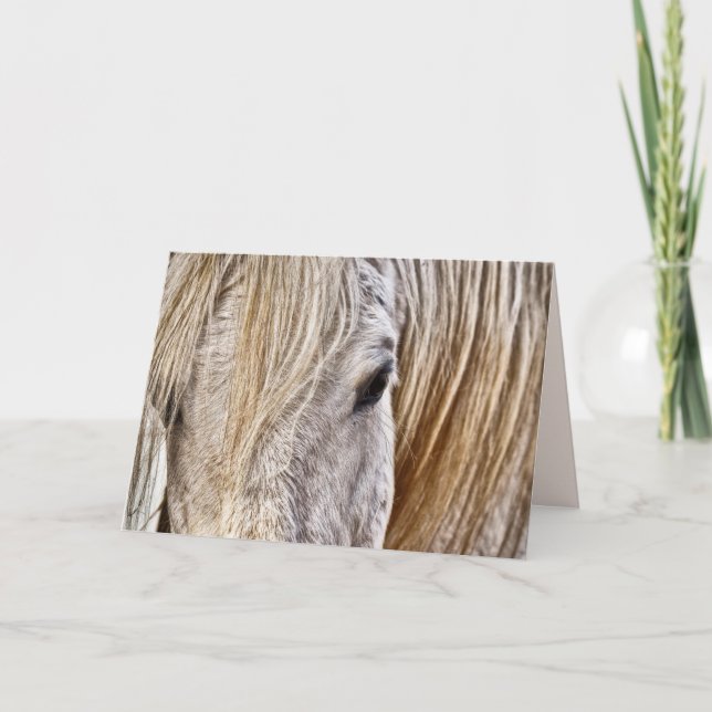 hälsningskort för stam- och häst helgkort (Framsida)